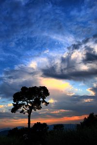 Preview wallpaper tree, silhouette, outlines, clouds, sky