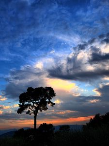 Preview wallpaper tree, silhouette, outlines, clouds, sky