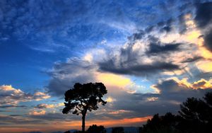 Preview wallpaper tree, silhouette, outlines, clouds, sky