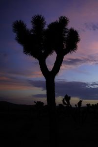 Preview wallpaper tree, silhouette, prairie, dusk