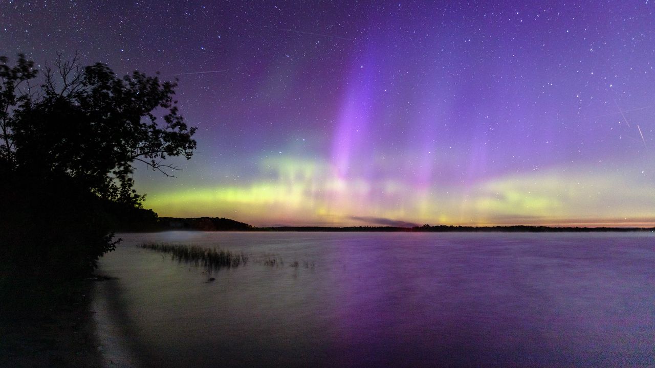 Wallpaper tree, silhouette, shore, sea, northern lights, dark