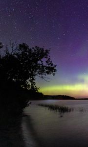 Preview wallpaper tree, silhouette, shore, sea, northern lights, dark