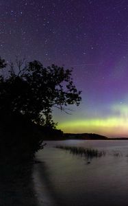 Preview wallpaper tree, silhouette, shore, sea, northern lights, dark