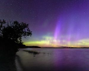 Preview wallpaper tree, silhouette, shore, sea, northern lights, dark