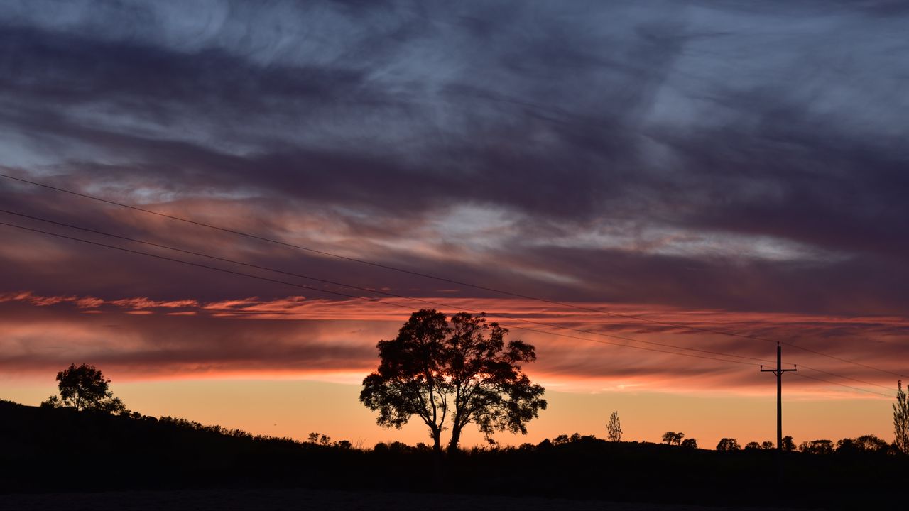 Wallpaper tree, silhouette, sky, evening, dark