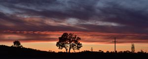Preview wallpaper tree, silhouette, sky, evening, dark