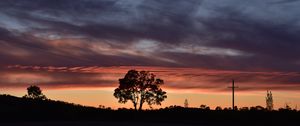 Preview wallpaper tree, silhouette, sky, evening, dark