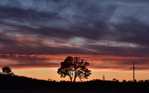 Preview wallpaper tree, silhouette, sky, evening, dark