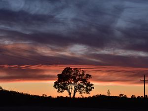 Preview wallpaper tree, silhouette, sky, evening, dark