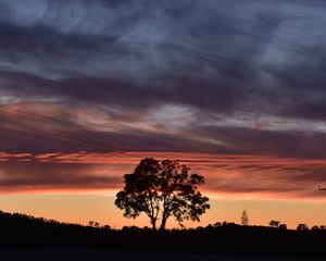 Preview wallpaper tree, silhouette, sky, evening, dark