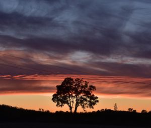 Preview wallpaper tree, silhouette, sky, evening, dark