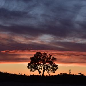 Preview wallpaper tree, silhouette, sky, evening, dark