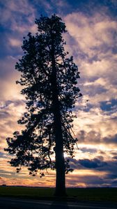 Preview wallpaper tree, silhouette, sky, clouds, dark