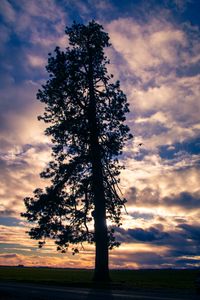 Preview wallpaper tree, silhouette, sky, clouds, dark