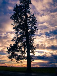 Preview wallpaper tree, silhouette, sky, clouds, dark