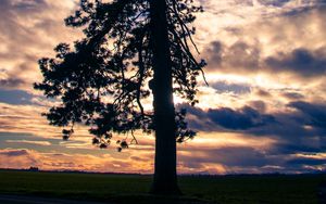 Preview wallpaper tree, silhouette, sky, clouds, dark