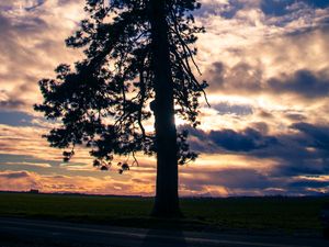 Preview wallpaper tree, silhouette, sky, clouds, dark