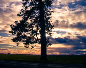 Preview wallpaper tree, silhouette, sky, clouds, dark