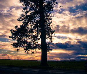 Preview wallpaper tree, silhouette, sky, clouds, dark