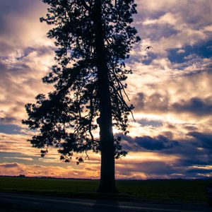 Preview wallpaper tree, silhouette, sky, clouds, dark