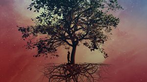 Preview wallpaper tree, silhouette, sky, art