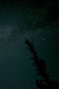 Preview wallpaper tree, silhouette, sky, stars, dark