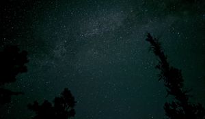 Preview wallpaper tree, silhouette, sky, stars, dark