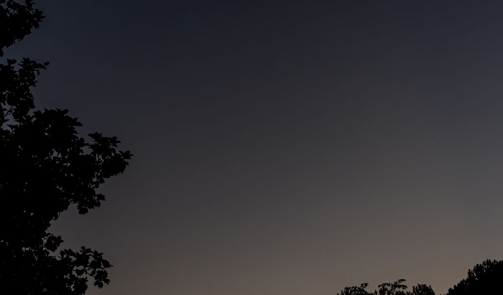 1024x600 Wallpaper tree, silhouette, sky, night, dark