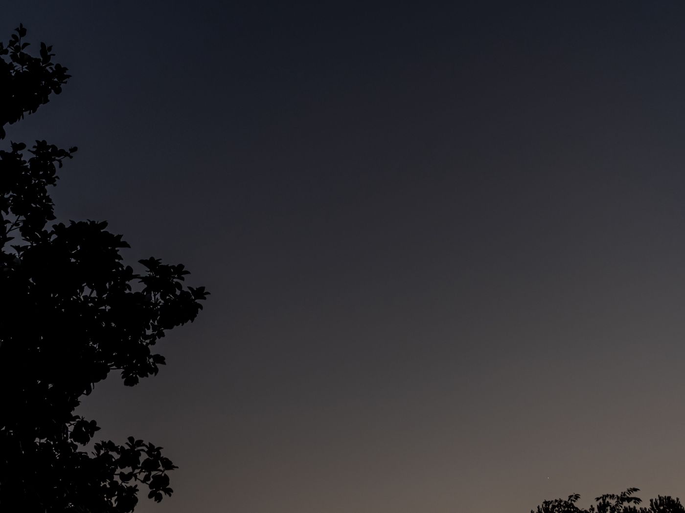 1400x1050 Wallpaper tree, silhouette, sky, night, dark