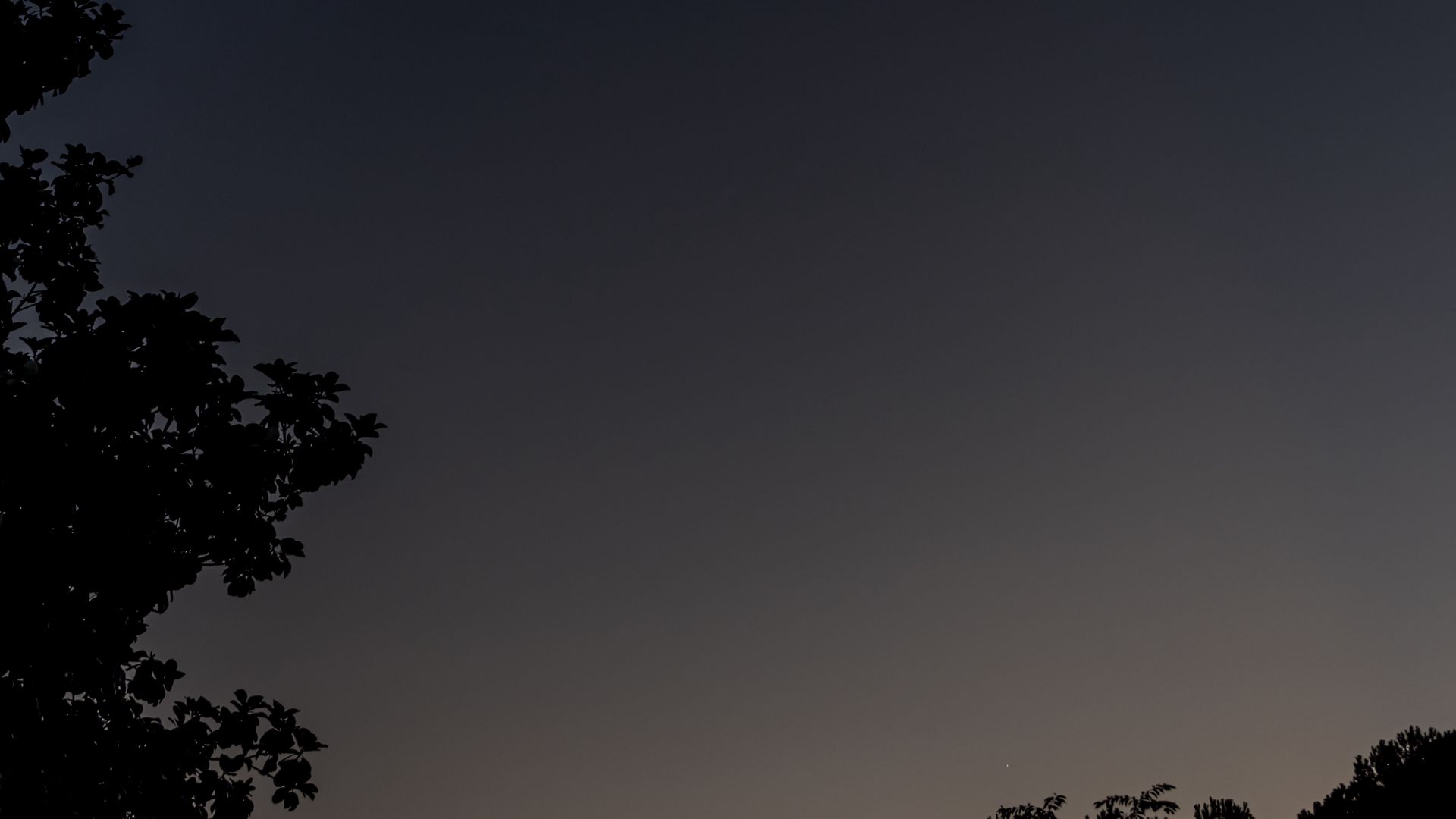 1920x1080 Wallpaper tree, silhouette, sky, night, dark