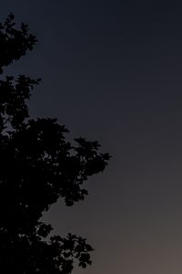 Preview wallpaper tree, silhouette, sky, night, dark