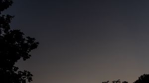 Preview wallpaper tree, silhouette, sky, night, dark