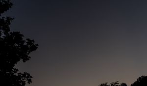 Preview wallpaper tree, silhouette, sky, night, dark