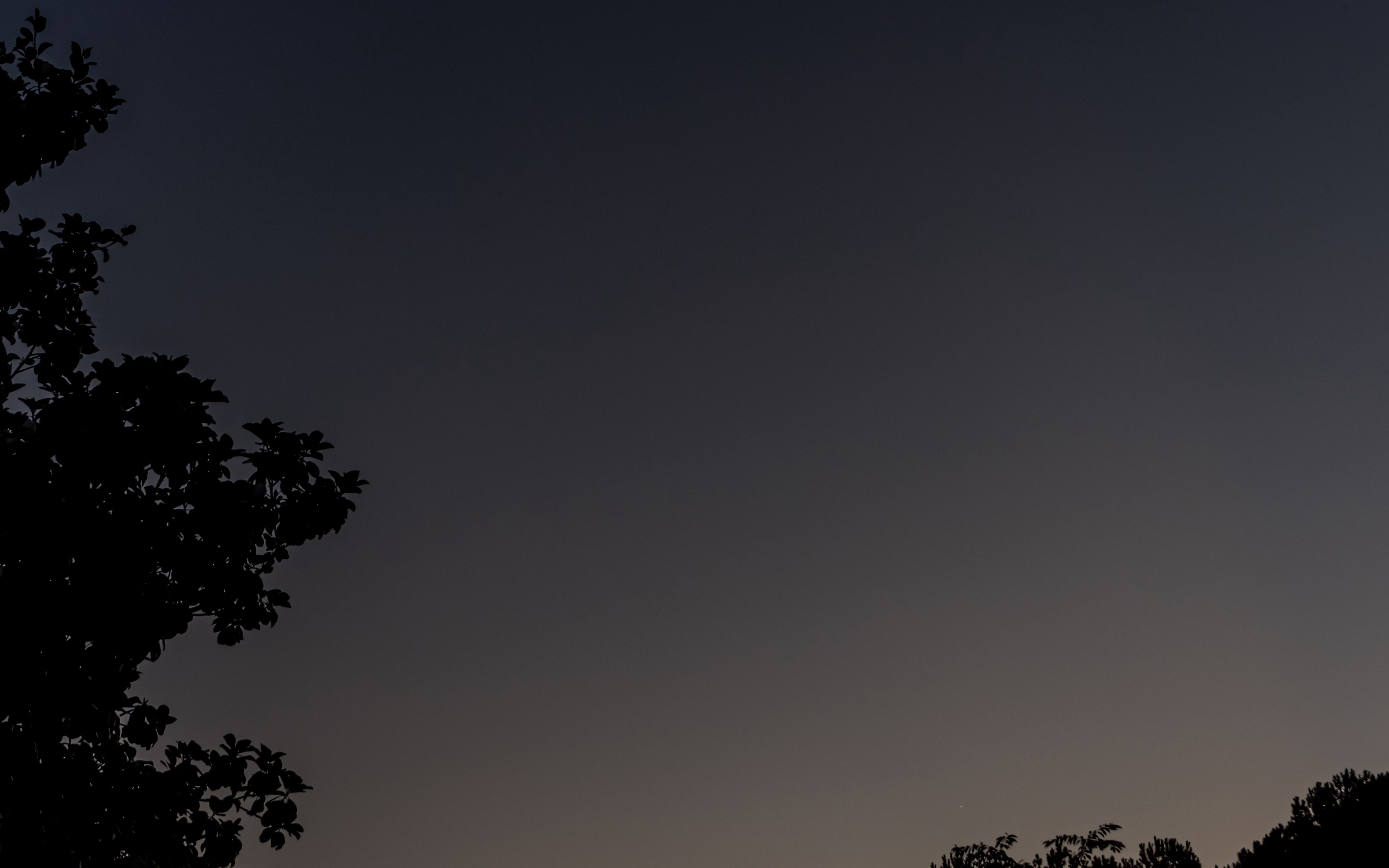 3840x2400 Wallpaper tree, silhouette, sky, night, dark