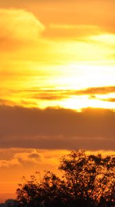 Preview wallpaper tree, silhouette, sky, clouds, sunset, dark