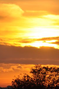 Preview wallpaper tree, silhouette, sky, clouds, sunset, dark