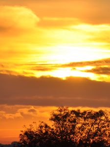 Preview wallpaper tree, silhouette, sky, clouds, sunset, dark