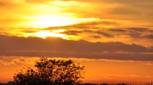 Preview wallpaper tree, silhouette, sky, clouds, sunset, dark