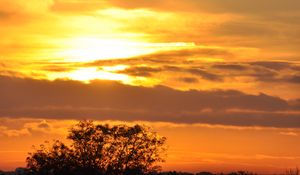 Preview wallpaper tree, silhouette, sky, clouds, sunset, dark
