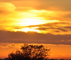 Preview wallpaper tree, silhouette, sky, clouds, sunset, dark