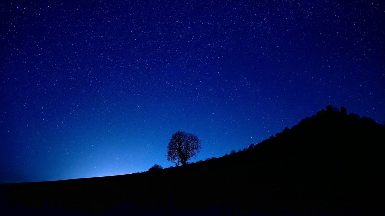Wallpaper tree, silhouette, slope, night, dark