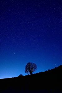 Preview wallpaper tree, silhouette, slope, night, dark