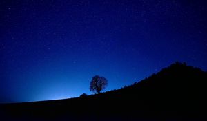 Preview wallpaper tree, silhouette, slope, night, dark