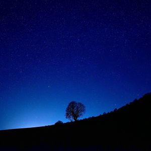 Preview wallpaper tree, silhouette, slope, night, dark