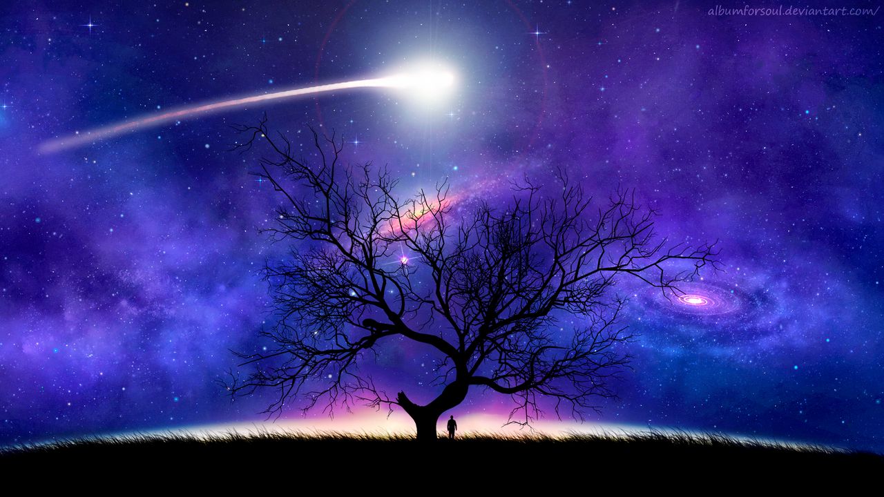 Wallpaper tree, silhouette, space, night, starry sky, comet