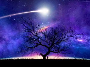 Preview wallpaper tree, silhouette, space, night, starry sky, comet