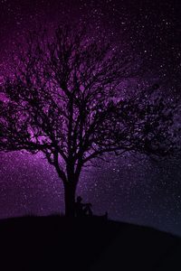 Preview wallpaper tree, silhouette, starry sky, dark, art