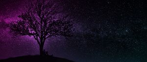 Preview wallpaper tree, silhouette, starry sky, dark, art