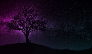 Preview wallpaper tree, silhouette, starry sky, dark, art