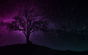 Preview wallpaper tree, silhouette, starry sky, dark, art